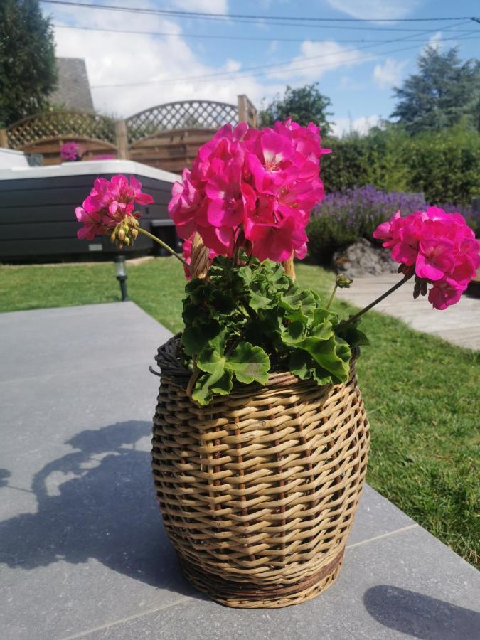 Cote Cosy Hotell Marche-en-Famenne Exteriör bild