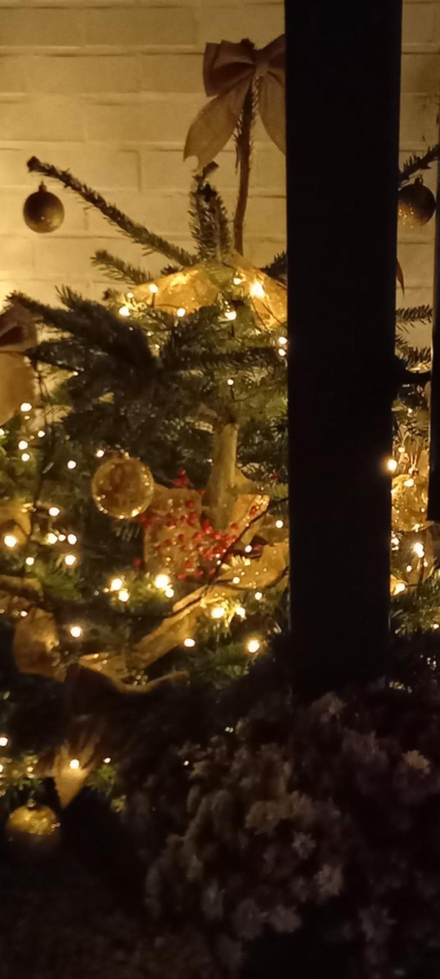 Cote Cosy Hotell Marche-en-Famenne Exteriör bild